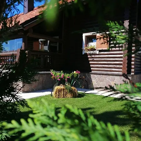 Villa Luksuzna Kuca Za Odmor Rina *
